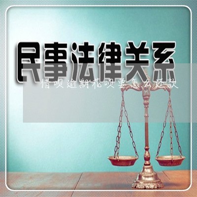 慘不忍睹 借唄逾期后，花唄該如何還款？一文講清方法與順序